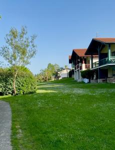 a green yard next to a house with a tree at Luzea, Domaine Iratzia in Saint-Jean-de-Luz
