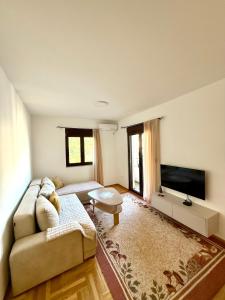 a living room with a couch and a flat screen tv at Apartman Dunja Bečići in Becici +9 photos