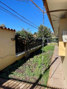 Zahrada ubytování Casa Comigual