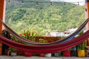 a hammock with a view of a mountain at Hostal La Casa Amarilla City in Baños