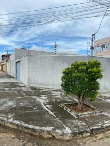 a tree in a parking lot next to a wall at Pousada Acessus Work - Proximo da UniEvangelica e Hospital HEANA in Anápolis