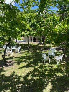 a group of chairs and a table under trees at DIAMOND Hotel and Resort in Dargai