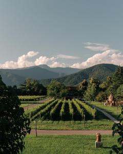 Paesaggio naturale nelle vicinanze dell'hotel