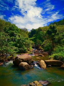 a river with rocks in the middle of a forest at Ora in Nikawatawana