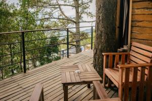 a wooden deck with a bench and a tree at Rocabosque oaxaca in San Mateo Río Hondo +1 photo