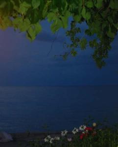 - une vue sur une étendue d'eau la nuit dans l'établissement Villa Maria, à Kamariotissa