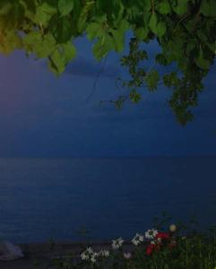 a view of a body of water at night at Villa Maria in Kamariotissa