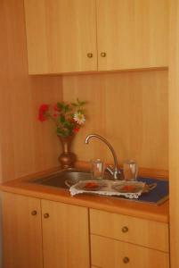 a kitchen sink with two glasses and a vase with flowers at Villa Maria in Kamariotissa
