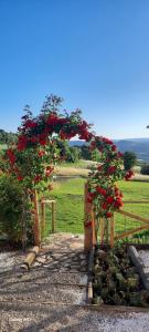 Vonkajšia záhrada v ubytovaní Agriturismo Il Truffarello TODI