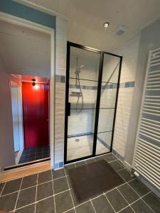 a walk in shower with a glass door in a bathroom at Huisje onder de Linden in Munnekeburen