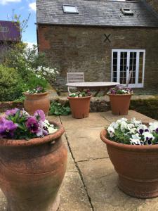 three pots of flowers in front of a building at Cotswolds Mine Hill House in Lower Brailes