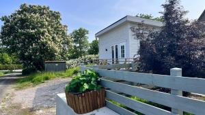 斯塔德Villa Vinja的相册照片