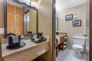 a hotel bathroom with a toilet and a sink at Comfort Inn Escondido San Diego North County in Escondido +67 photos