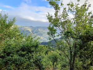 Gallery image of Croods cabin in Kodaikānāl +13 photos