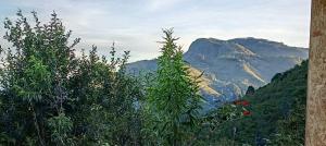 Gallery image of Croods cabin in Kodaikānāl