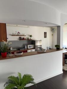 Kuchyňa alebo kuchynka v ubytovaní Apartment T&M Zagreb Airport
