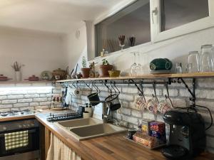 a kitchen with a sink and a counter top at Agroturism Sesuri 151 in Şesuri