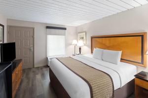 Un ou plusieurs lits dans un hébergement de l'établissement Baymont by Wyndham Knoxville I-75