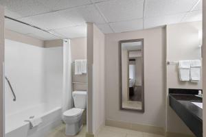 une salle de bain avec toilettes, lavabo et miroir dans l'établissement Baymont by Wyndham Knoxville I-75, à Knoxville