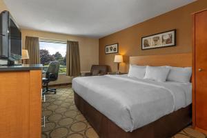 a hotel room with a large bed and a television at Comfort Inn West in Edmonton