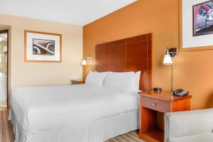 Postel nebo postele na pokoji v ubytování Radisson Hotel Detroit Metro Airport