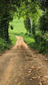 a dirt road in the middle of a field at Vasudha Eco Homestay in Paithalmala