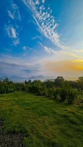 a green field with trees and a cloudy sky at Vasudha Eco Homestay in Paithalmala +31 photos