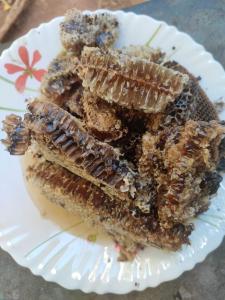 a white plate with a piece of cake on it at Vasudha Eco Homestay in Paithalmala