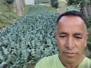 Fotografie z fotogalerie ubytování Green Hills Homestay v destinaci Dhanaulti