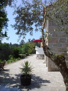 a stone building with a potted plant and a red umbrella at Villa Lugar do Pego in Tondela