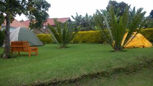 a tent and a bench in a yard with trees at Maasai Villa Backpackers Home in Fort Portal