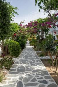 Um jardim em Acrogiali Beachfront Hotel Mykonos
