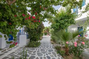 Um jardim em Acrogiali Beachfront Hotel Mykonos