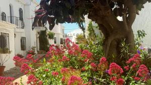 a garden with pink flowers in front of a building at El Capistrano Sur in Nerja