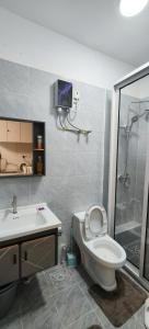 MarimbetiにあるAngaza Green Homes-Sabaki Green Estateのトイレ、シャワー、洗面台を備えたバスルーム