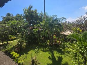 a garden with palm trees and plants at Rambutan Hotel in Lovina