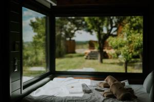 Fotografia z galérie ubytovania Feelmore Tiny House Eger v destinácii Eger