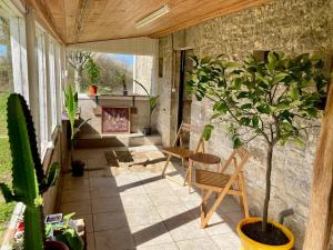 Zahrada ubytování The Cowshed