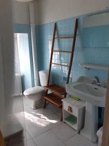 a bathroom with a toilet and a sink at La Maison de Claire in Flavigny-sur-Ozerain +5 photos