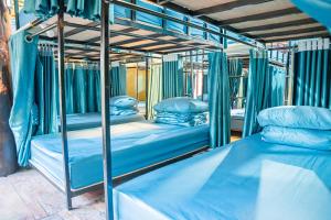 two bunk beds in a room with blue curtains at Golden Mountain Hostel in Ninh Binh