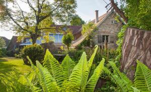 a garden with green plants in front of a house at Ferienwohnungen Höttingen in Höttingen