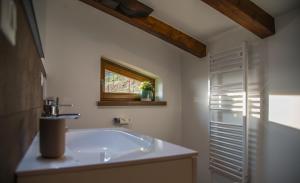 a bathroom with a tub and a window at Dario Coos srl - Azienda vinicola in Sedilis