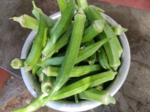 a pile of green beans in a white bowl at Vasudha Eco Homestay in Paithalmala