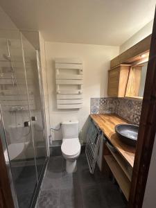 a bathroom with a toilet and a sink and a shower at Studio charmant et confortable Brides Les Bains in Brides-les-Bains