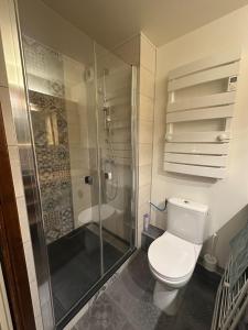 a bathroom with a toilet and a shower at Studio charmant et confortable Brides Les Bains in Brides-les-Bains