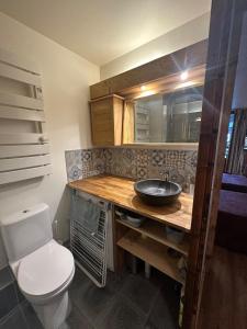 a bathroom with a sink and a toilet in a room at Studio charmant et confortable Brides Les Bains in Brides-les-Bains