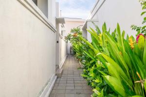 an alleyway in a building with green plants at Peaceful 2BR Pool Villa in Kerobokan - V2 in Kerobokan
