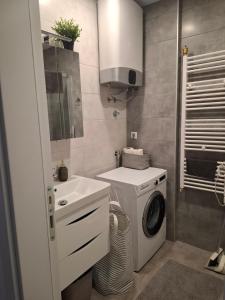 un bagno con lavatrice e lavandino di Apartman Astra a Trebinje Altre 6 foto