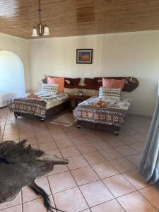 Ένα ή περισσότερα κρεβάτια σε δωμάτιο στο Swartfontein Game and Adventure Lodge