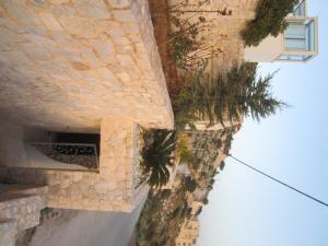 a stone wall with plants on the side of a building at Viva B&B in Anavyssos